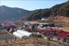 [2호차] 2025.12.21.(일) - 봉화 분천역 산타마을 / 무궁화 눈꽃열차 / 태백 오로라 파크 - 4 - 당일여행 사진 보기 ---15일간 - 파아란 여행클럽... 