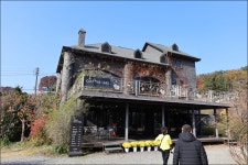 메타세콰이어길 - 2 - 당일여행 사진 보기 ---15일간 - 파아란 여행클럽 2025.11.20.(목) - 옥천 천상의정원 수생학습식물원 / 정지용 생가... 