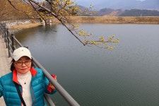 3월 15일 - 일요일ㅡ구례 산수유 축제 - 계척마을 시목지 여행 - 성남 분당 용인 여행사 ㅡ하나투어 분당 대리점 - 당일여행 사진 보기 ---15일간... 