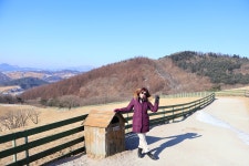 1월 27일 - 화요일 ㅡ대관령 양떼목장 여행 -성남 분당 용인 여행사 ㅡ하나투어 분당 대리점 - 당일여행 사진 보기 ---15일간 - 파아란 여행클럽... 