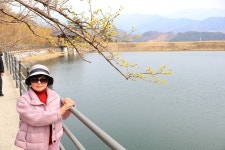 3월 15일 - 일요일ㅡ구례 산수유 축제 - 계척마을 시목지 여행 - 성남 분당 용인 여행사 ㅡ하나투어 분당 대리점 - 당일여행 사진 보기 ---15일간... 