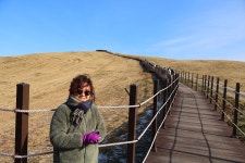 1월 1일 - 목요일 ㅡ 서산 목장길 알프스 + 로드1950카페 여행 ㅡ성남... 서산 목장길 알프스 + 로드1950카페 여행 ㅡ성남 분당 용인 여행사... 