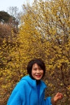 3월 15일 - 일요일ㅡ구례 산수유 축제 - 계척마을 시목지 여행 - 성남 분당 용인 여행사 ㅡ하나투어 분당 대리점 - 당일여행 사진 보기 ---15일간... 