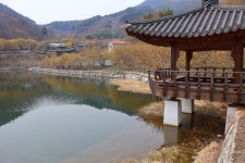 3월 15일 - 일요일ㅡ구례 산수유 축제 - 계척마을 시목지 여행 - 성남 분당 용인 여행사 ㅡ하나투어 분당 대리점 - 당일여행 사진 보기 ---15일간... 