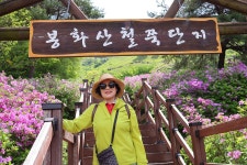 4월 28일 - 화요일ㅡ 장수 남원 여행 - 2번 - 봉화산 철쭉꽃 여행 -- 성남... 2번 - 봉화산 철쭉꽃 여행 -- 성남 분당 용인 여행사 ㅡ하나투어 분당... 