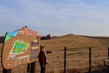 12월10일-수요일- 당진여행 -서산 목장힐링태크길 + 로드1950카페 여행 - 성남 분당 용인 여행사 - 하나투어 분당 대리점 - 당일여행 사진 보기... 