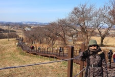 1월 1일 - 목요일 ㅡ 서산 목장길 알프스 + 로드1950카페 여행 ㅡ성남 분당 용인 여행사 ㅡ하나투어 분당 대리점 - 당일여행 사진 보기 ---15일간... 