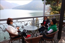 메타세콰이어길 - 2 - 당일여행 사진 보기 ---15일간 - 파아란 여행클럽 2025.11.20.(목) - 옥천 천상의정원 수생학습식물원 / 정지용 생가... 