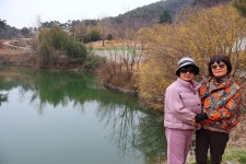 3월 15일 - 일요일ㅡ구례 산수유 축제 - 계척마을 시목지 여행 - 성남 분당 용인 여행사 ㅡ하나투어 분당 대리점 - 당일여행 사진 보기 ---15일간... 