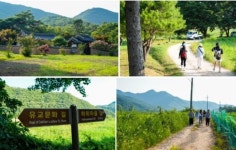 제1280차 안동 화산(328m) & 하회마을 트레킹(7월13일) - ★ 정 기 산 행 ★ - 구리산악회 제1280차 안동 화산(328m) & 하회마을 트레킹... 