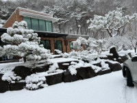 2026. 2. 24 눈 - 학암농장 - 학암 2026. 2. 24 눈