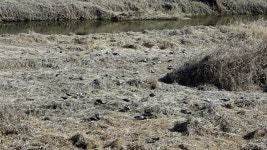 고양누리길 5구간//12코스 고양동누리길/공원산~벽제관 ~ 13코스 오선누리길/상산~약정산~ 14코스 바람누리길 - 둘레길 - 산아이의 마루금 고양... 