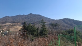 가성산~장군봉~제실고개~462봉~산불지대~감투봉~장척리 - 백두대간의... 새별고개~백두 가성산~장군봉~제실고개~462봉~산불지대~감투봉~장척리