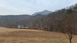 백두 지장분맥 2구간 수봉리~백옥정~헌수봉~만경봉~오도재~515.6봉... 수봉리~백옥정~헌수봉~만경봉~오도재~515.6봉~686.1봉~봉대산~황간향교... 