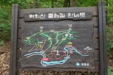 백화산 933m [영동] '23.6.25 - BAC 명산100+ 인증 - 길을 두고 뫼로 간다 백화산 933m [영동] '23.6.25