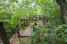백화산 933m [영동] '23.6.25 - BAC 명산100+ 인증 - 길을 두고 뫼로 간다 백화산 933m [영동] '23.6.25