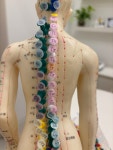 산전산후마사지 수업 후기 - 전문수강생모집 - 자연치유본가 토탈뷰티아카데미 경락마사지 체형교정 수강생모집 산전산후마사지 수업 후기
