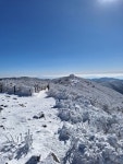 태백산 유일사 - 하성남성산악회산행사진 - 신김포농협하나로산악회 태백산 유일사