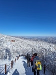 태백축산남지농협하나로마트점 | 태백산 유일사 - 하성남성산악회산행사진 - 신김포농협하나로산악회 태백산 유일사