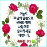 삼원색세종W몰점 | ＜鳥.W=7•08Km+3個＞조형아파트에서~조치원역까지 17•5里걷다!!~[230730(日.暴炎警報)24°/34°] - Tranggle GPS[登山→걷기] - 써비의...
