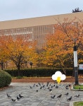 하루프란트치과에 가다ㅡ강남역 10번 출구 앞 - 추억의 갤러리 - SENURI TOTAL ART CENTER 하루프란트치과에 가다ㅡ강남역 10번 출구 앞