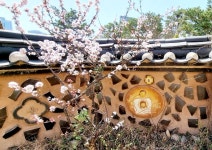 3월 성지순례를 떠나다ㅡ당고개 성지 - 추억의 갤러리 - SENURI TOTAL ART CENTER 3월 성지순례를 떠나다ㅡ당고개 성지