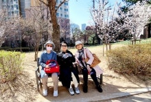 3월 성지순례를 떠나다1ㅡ당고개 성지 - 추억의 갤러리 - SENURI TOTAL ART CENTER 3월 성지순례를 떠나다1ㅡ당고개 성지