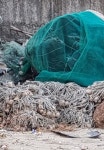 남도 (보성 순천 벌교)로 7일8일9일 2박3일간 스케치 여행 다녀오다1 ㅡ보성, 율포해수욕장. 득량만 - 추억의 갤러리 - SENURI TOTAL ART... 