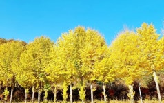 남도 (보성 순천 벌교)로 7일8일9일 2박3일간 스케치 여행 다녀오다3ㅡ보성 청암 해변 일출과, 순천 운평769 카폐 - 추억의 갤러리... 