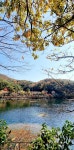 남도 (보성 순천 벌교)로 7일8일9일 2박3일간 스케치 여행 다녀오다3ㅡ보성 청암 해변 일출과, 순천 운평769 카폐 - 추억의 갤러리... 