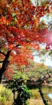 남도 (보성 순천 벌교)로 7일8일9일 2박3일간 스케치 여행 다녀오다3ㅡ보성 청암 해변 일출과, 순천 운평769 카폐 - 추억의 갤러리... 