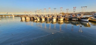 소래포구로 주말 나드리 가다 - 추억의 갤러리 - SENURI TOTAL ART CENTER 소래포구로 주말 나드리 가다