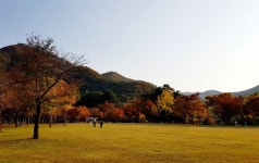 가족들과 가을 속으로 나드리 ㅡ안양 병목안 시민공원 - 추억의 갤러리 - SENURI TOTAL ART CENTER 가족들과 가을 속으로 나드리 ㅡ안양... 