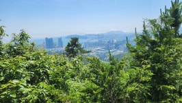 장산 : [장산역~대천공원~구곡산~(구)장산정상~장산정상~중봉~옥녀봉~대천공원~장산역] - 장산 산성산 - 거북이부부 산행수첩 장산 : [장산역... 