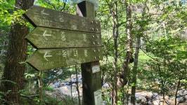 장산 : [장산역~대천공원~구곡산~(구)장산정상~장산정상~중봉~옥녀봉~대천공원~장산역] - 장산 산성산 - 거북이부부 산행수첩 장산 : [장산역... 