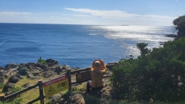 제주도여행 - 역올레5코스 큰엉해안경승지 (2022년 10월 7일)... 의진네 가정 제주도여행 - 역올레5코스 큰엉해안경승지 (2022년 10월 7일)