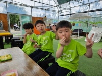 9월 4주 사과수확 체험 2. - 👉요술꽃반 (만 3세) - 육영 숲 어린이집 9월 4주 사과수확 체험 2.