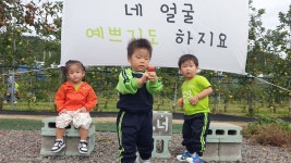 아이니 농장 사과 🍎 🍏 따기 체험 - 👉양지꽃반 2반 (만1세) - 육영 숲 어린이집 아이니 농장 사과 🍎 🍏 따기 체험