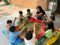 (텃밭활동)강낭콩 수확하기🫘 - 👉자운영반(만5세) - 육영 숲 어린이집 (텃밭활동)강낭콩 수확하기🫘