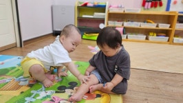 양지아기들♡ - 👉양지꽃반 1반 (만0세) - 육영 숲 어린이집 양지아기들♡