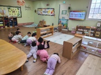 사랑스런 은방울♡ - 👉은방울반(만2세) - 육영 숲 어린이집 사랑스런 은방울♡