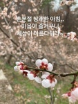 - ☆━━━━━(사고팔고)…………˚。농산물 - ★━농수산물 직거래장터 [농장]━★ 장수마을에 암환자 발생 13명 ..
