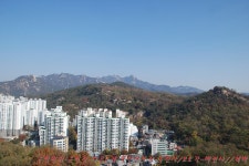 봉산-대덕산-수색교-대덕산-노을공원-하늘공원-평화공원 - ☞ 최근산... - 홀대모 봉산-대덕산-수색교-대덕산-노을공원-하늘공원-평화공원
