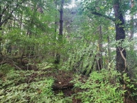 ☆ 20220904 진양기맥03 경남함양/거창/산청 관설령-사별산705m-춘전... 경남함양/거창/산청 관설령-사별산705m-춘전치-덕갈산-둔동교차로 ☆