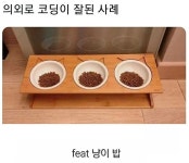 의외로 코딩이 잘 된 사례.jpg - 웃긴자료 ‥‥‥‥‥、 - 도탁스 (DOTAX) 의외로 코딩이 잘 된 사례.jpg