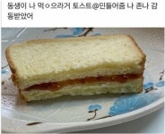동생이 만들어준 토스트 - 웃긴자료 ‥‥‥‥‥、 - 도탁스 (DOTAX) 동생이 만들어준 토스트