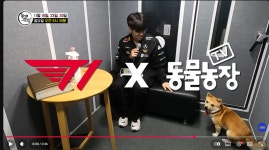 SBS TV동물농장에서 기획한 방송에 출연 예정인 T1 - 웃긴자료... - 도탁스 (DOTAX) SBS TV동물농장에서 기획한 방송에 출연 예정인 T1