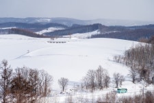 지난 주말 북해도 사진 몇 장 - 자유게시판 ‥‥‥‥、 - 도탁스 (DOTAX) 지난 주말 북해도 사진 몇 장
