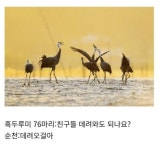 전라남도 순천시의 신의 한 수 - 웃긴자료 ‥‥‥‥‥、 - 도탁스 (DOTAX) 전라남도 순천시의 신의 한 수