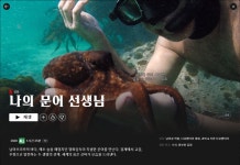 경이로웠던 다큐 나의 문어 선생님 - 웃긴자료 ‥‥‥‥‥、 - 도탁스 (DOTAX) 경이로웠던 다큐 나의 문어 선생님